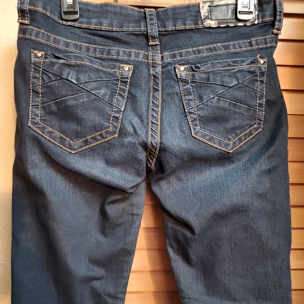 Daytrip jeans size 29R Lynx Skinny
